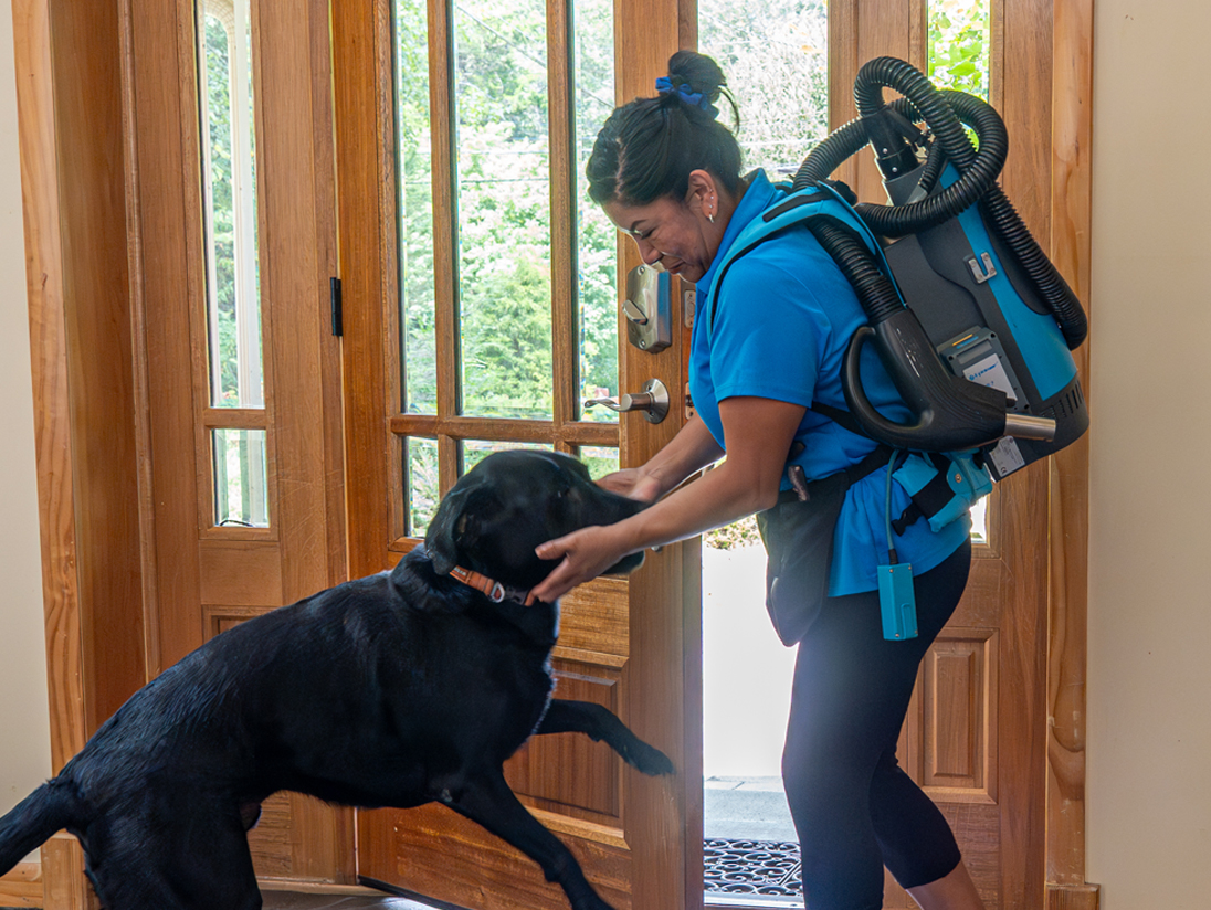 Specialty Cleaning Services