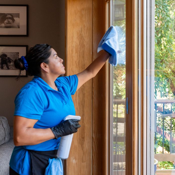House Cleaning Services House Cleaning Services