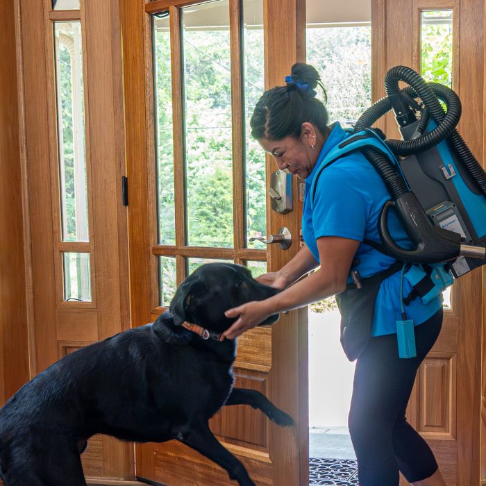 Speciality Cleaning Speciality Cleaning