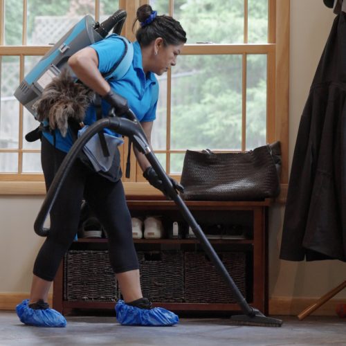 Maid Brigade Content