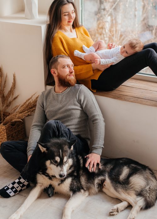 Safe Disinfection Services